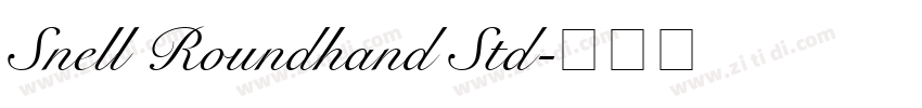 Snell Roundhand Std字体转换